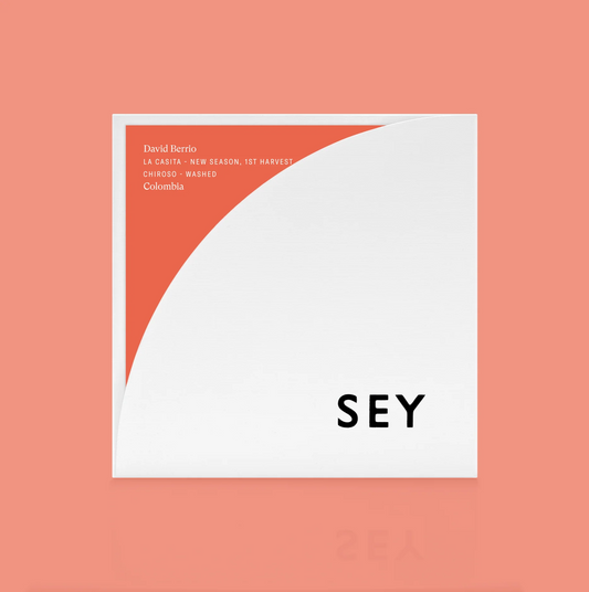 David Berrio Colombia - SEY