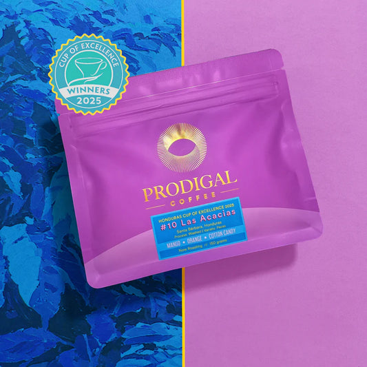 COE #10 Las Acacias Honduras - PRODIGAL