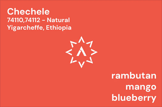 Chelchele Ethiopia - APOLLONS GOLD