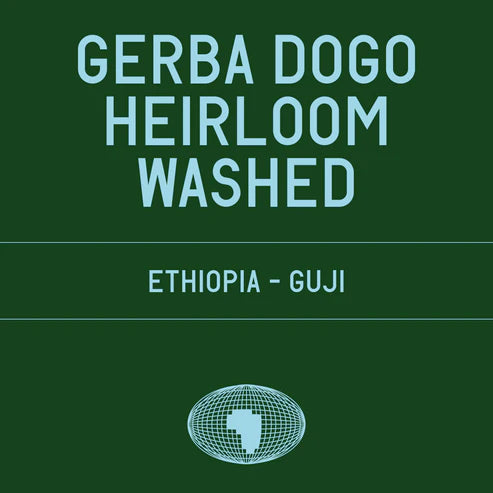 Gerba Dogo Ethiopia - DATURA