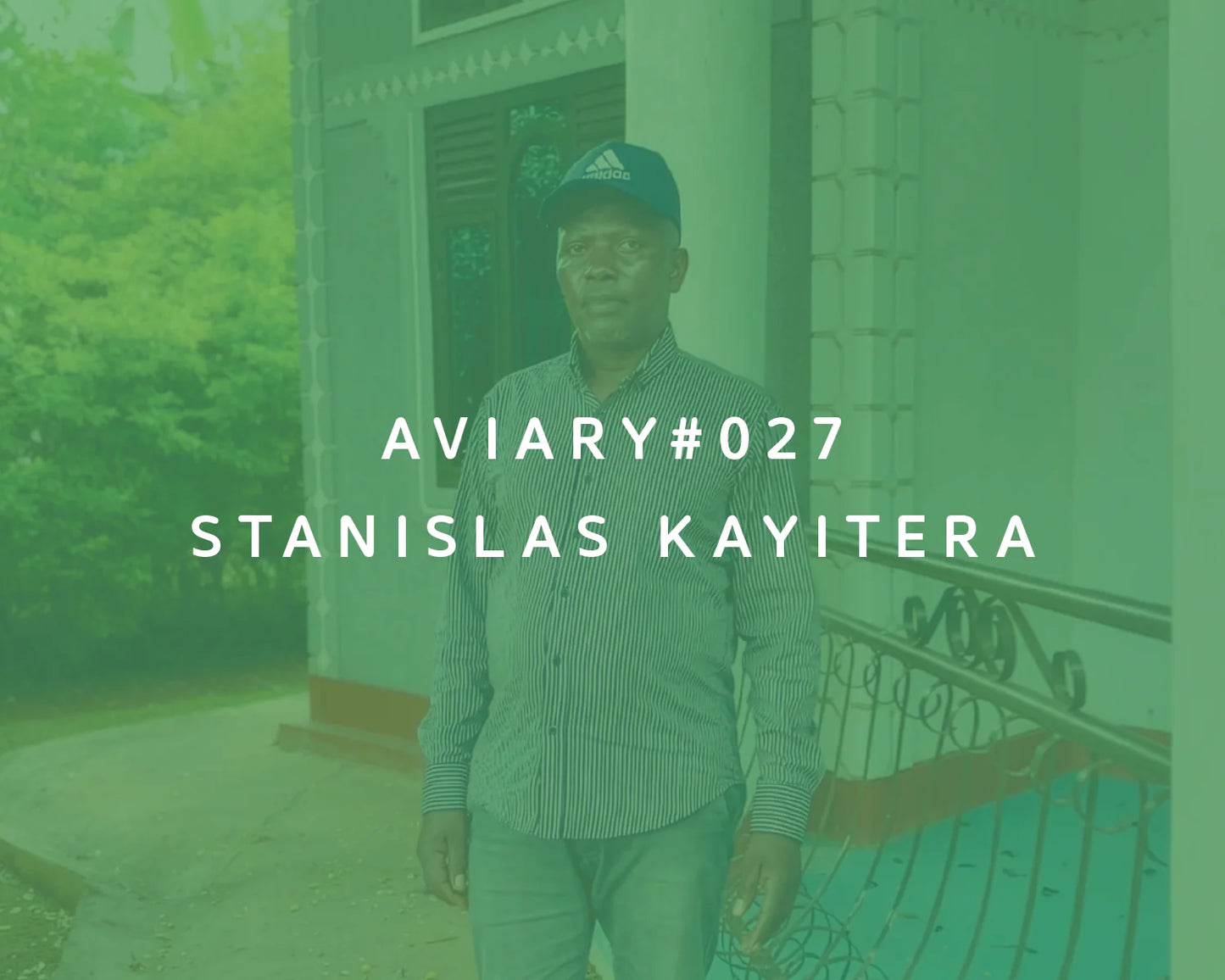 Stanislas Kayitera - Aviary