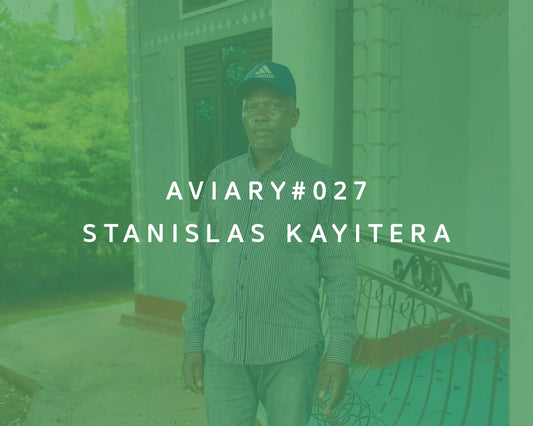 Stanislas Kayitera - Aviary