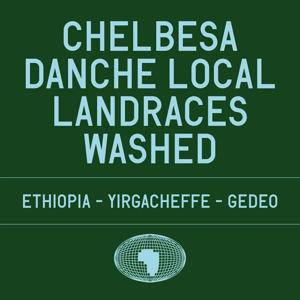 Chelbesa Danche - DATURA