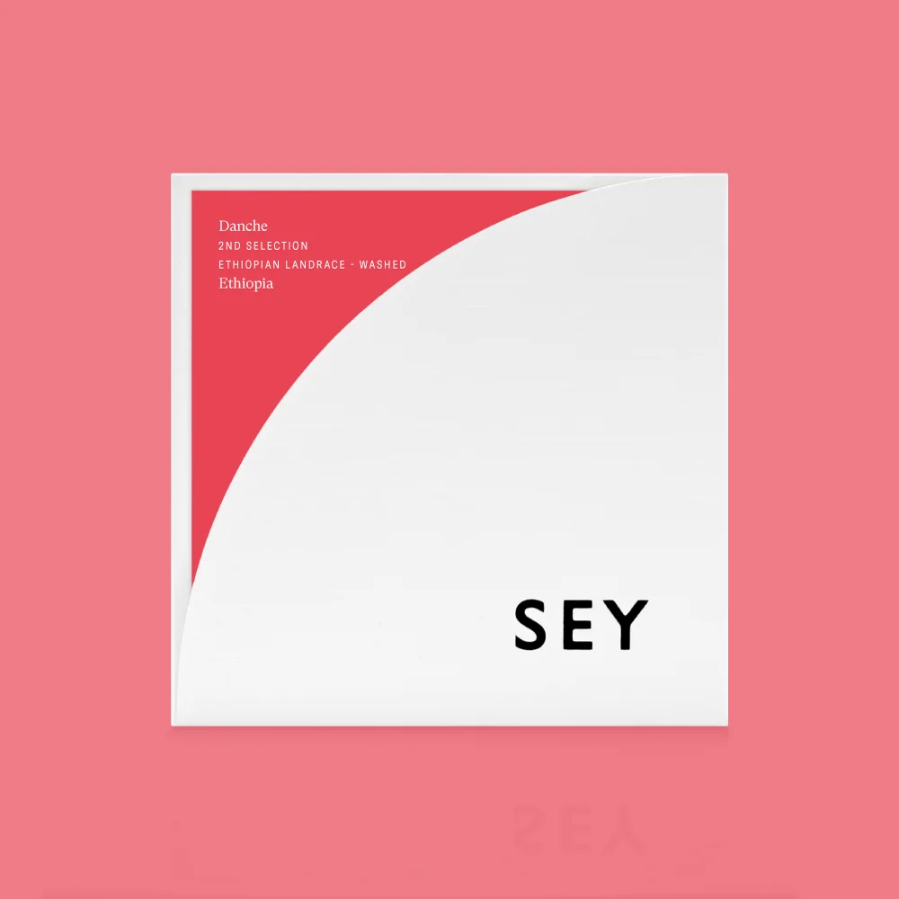 Danche 2026 - SEY