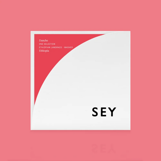 Danche 2026 - SEY