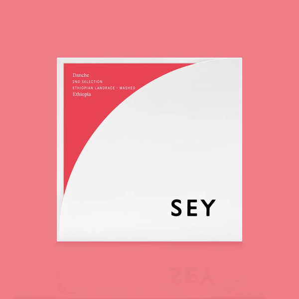 Danche 2026 - SEY