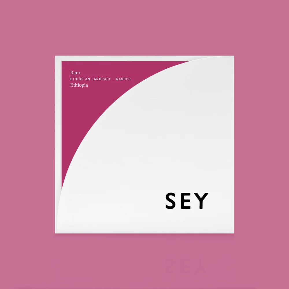 Raro 2026 - SEY