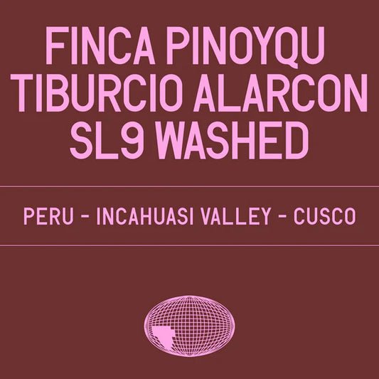 Finca Pinoyqu, Tiburcio Alarcon SL9 Washed - DATURA