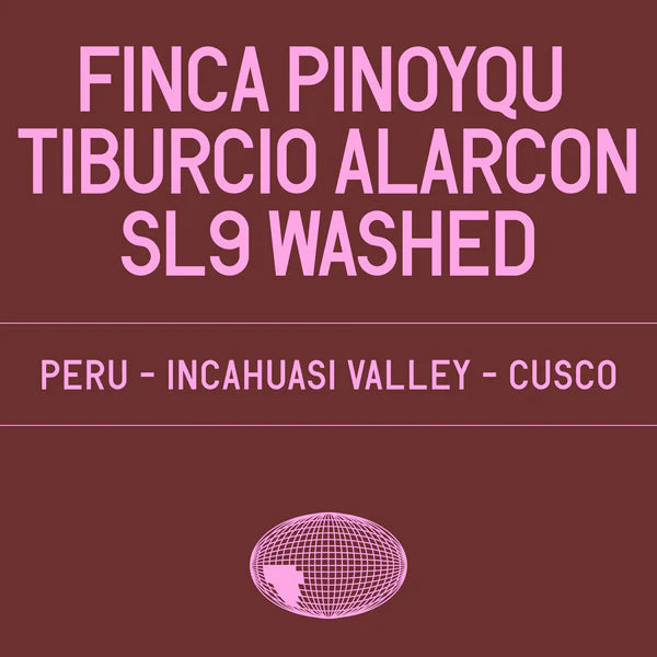 Finca Pinoyqu, Tiburcio Alarcon SL9 Washed - DATURA