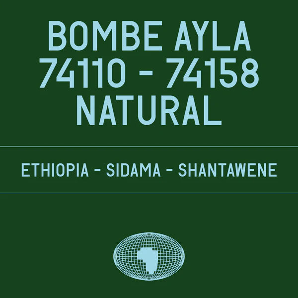 Bombe Ayla - DATURA