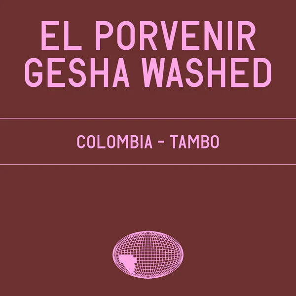 El Porvenir Gesha Washed - DATURA