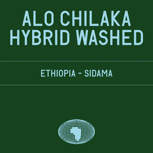 Alo Chilaka Hybrid Washed - DATURA