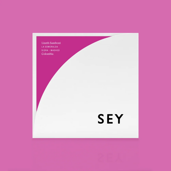 Lizeth Samboni 2026 - SEY