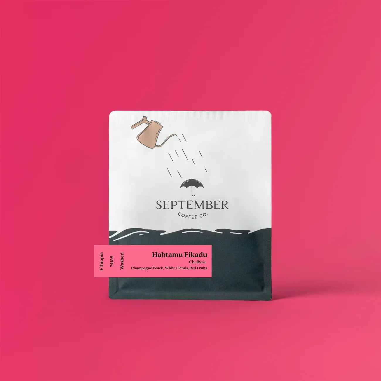 Habtamu Fikadu - September
