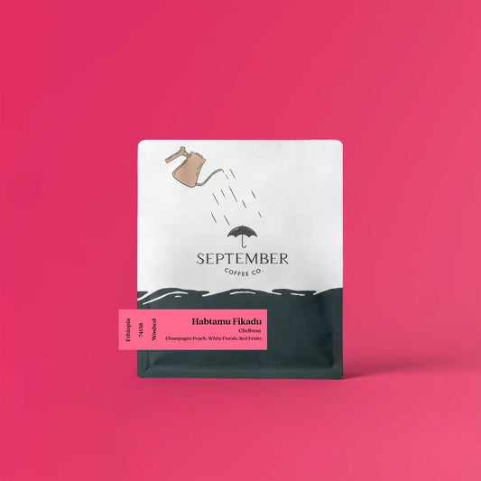 Habtamu Fikadu - September